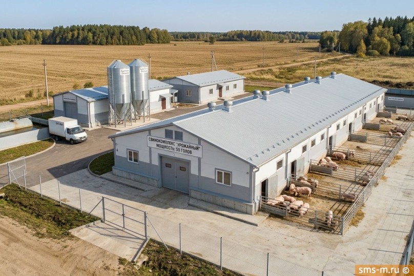 Фото Свинокомплекс из сэндвич панелей на 50 голов